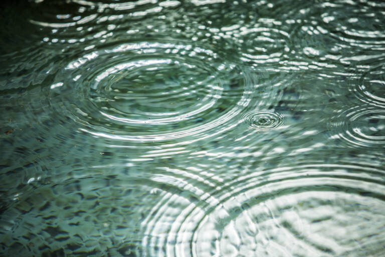 Rain dropping on water