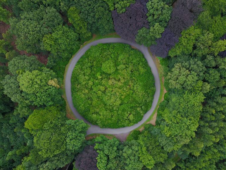 liikenneympyrä metsässä