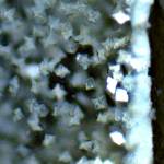 Micropscopic image of Ca-Ti phosphate glass ceramics
