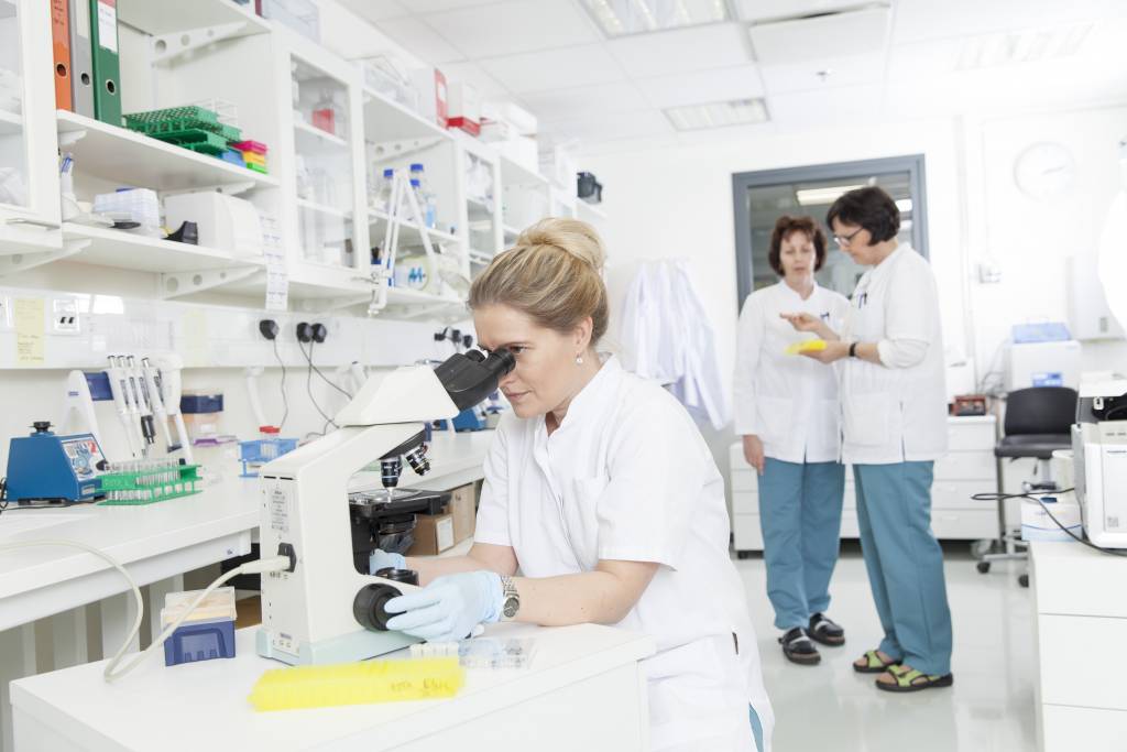 Picture from the research laboratory