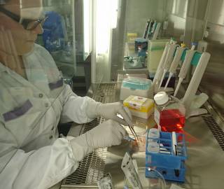 Solujen eristys kudoksesta