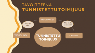 Tunnistettu toimijuus osana Myönteisen Tunnistamisen näkökulmaa