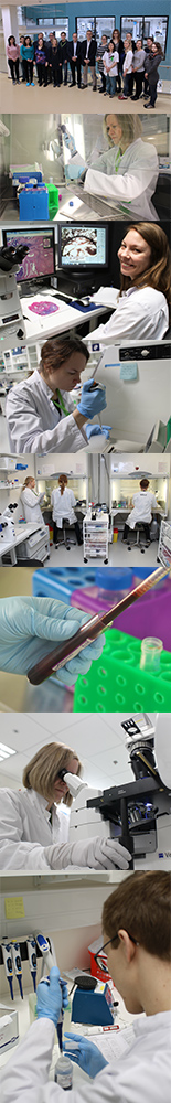 Decoration image includes researchers
