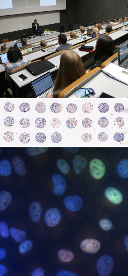 Research and learning
