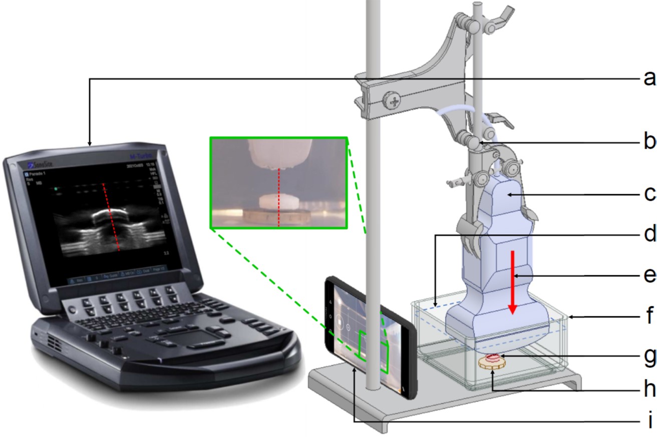 Tablet swelling experimental setup.