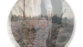 Child and stones.