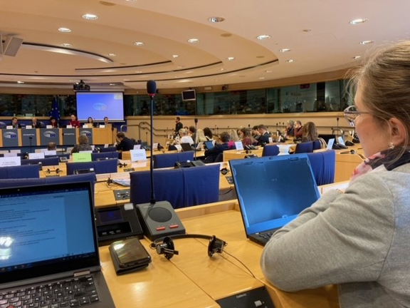 Project observing at the Committee on Culture and Education (European Parliament)