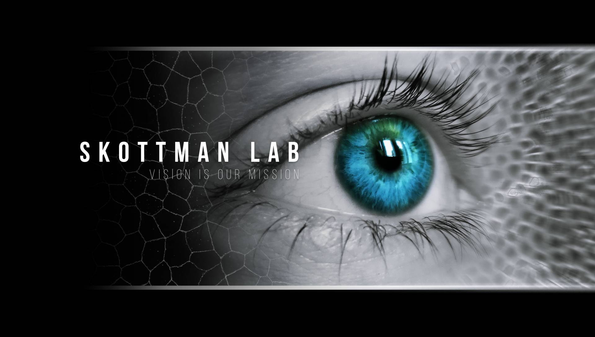 Skottman Lab
