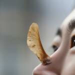 Our lovely visiting student Ming Cheng is getting inspired by a natural seed.