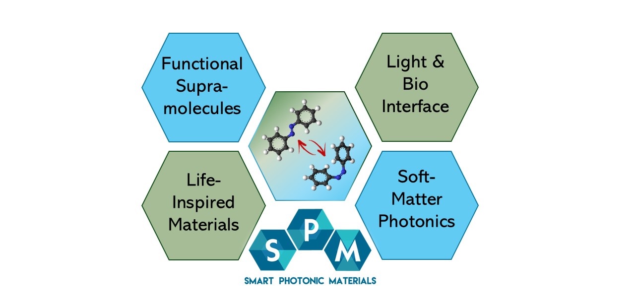 Research fields_SPM2024