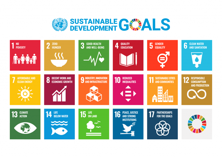 Millennium Development Goals