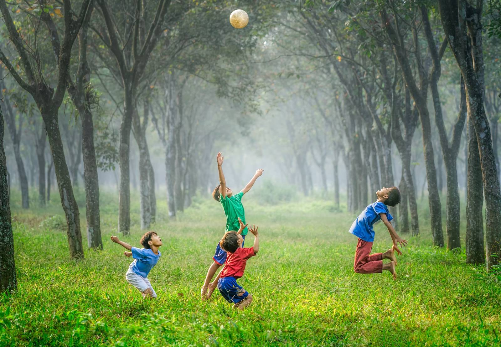Child playing in the woods.