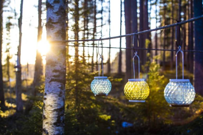 Three lanterns hanging on a line in a forest.