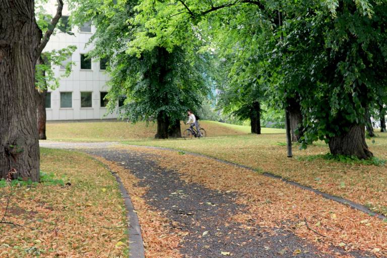 Cyclist in a park