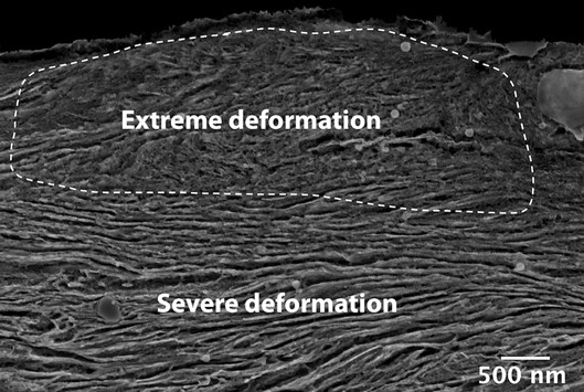FESEM image of heavily deformed wear surface