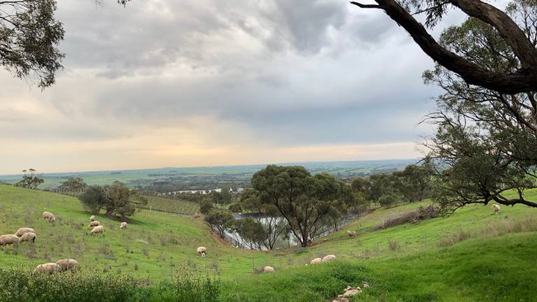 Valley