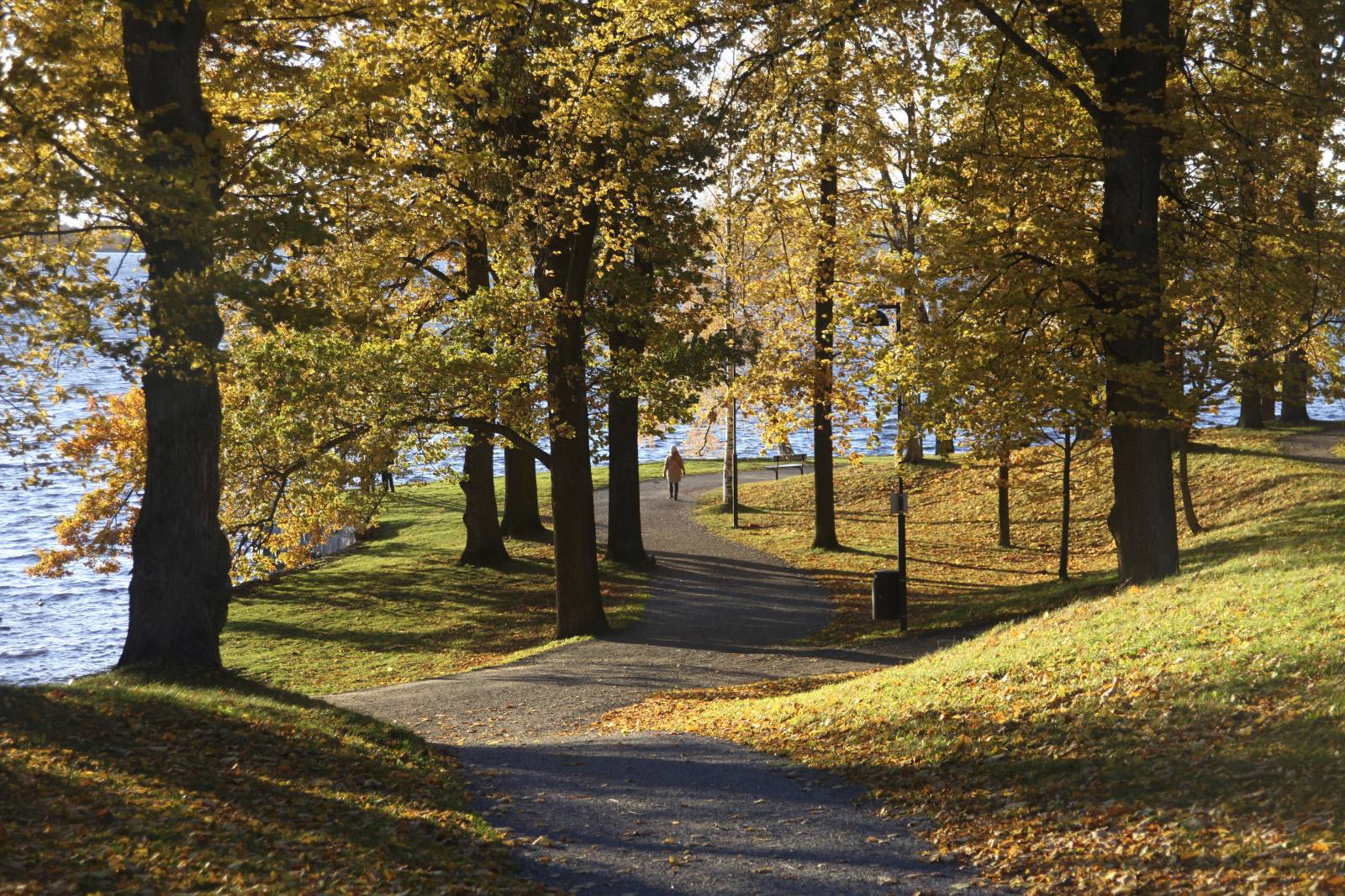 Hatanpää landscape