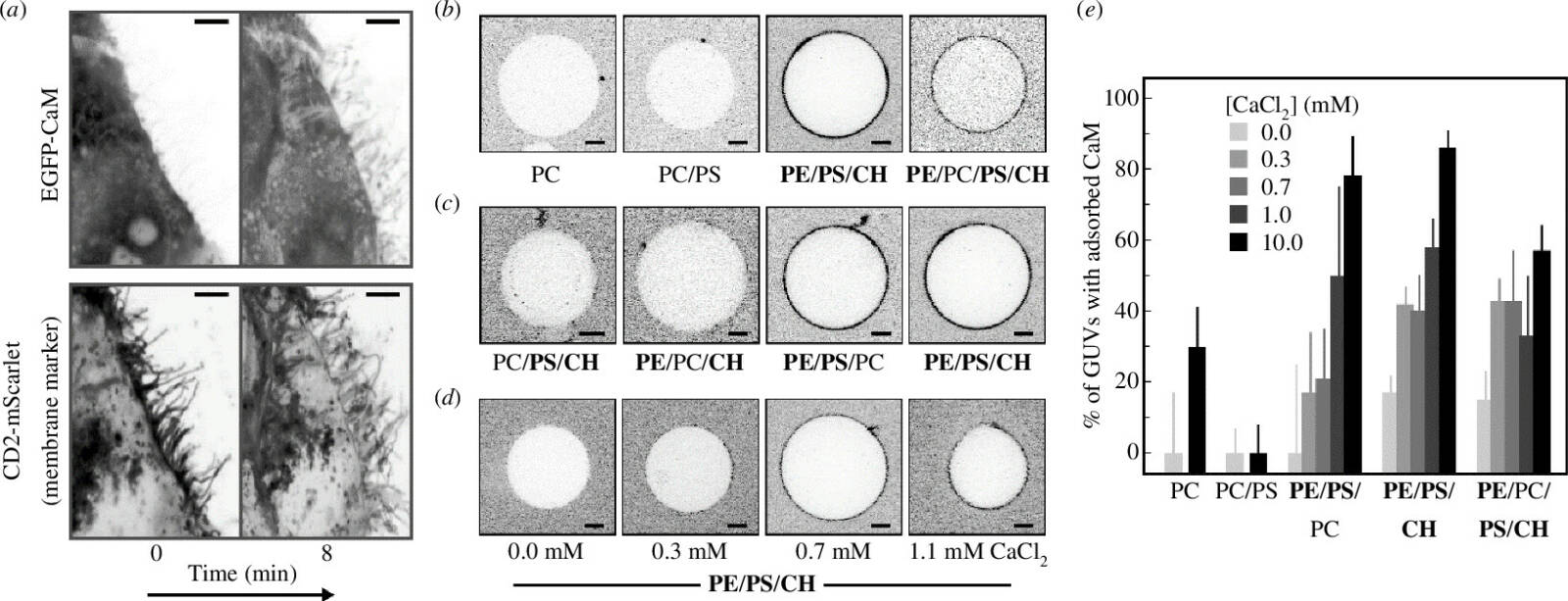 Fig 1 of the paper