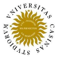 Logo, Univesity of Cassino and Southern Lazio