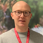 Sauli Palmu