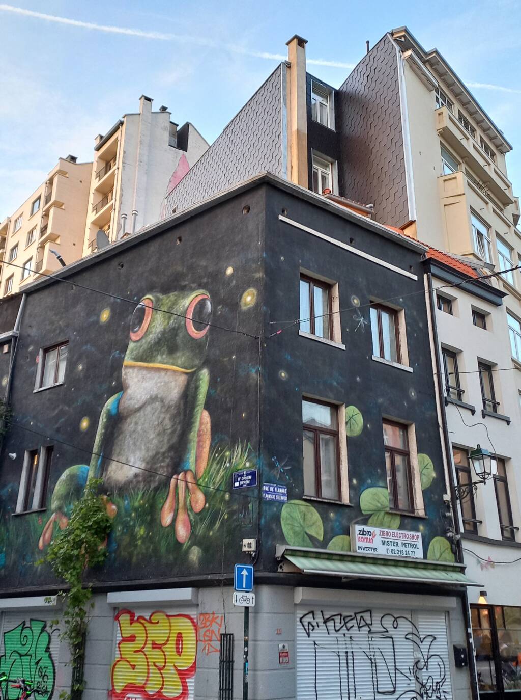 A street view from Brussels, including a mural of a frog.