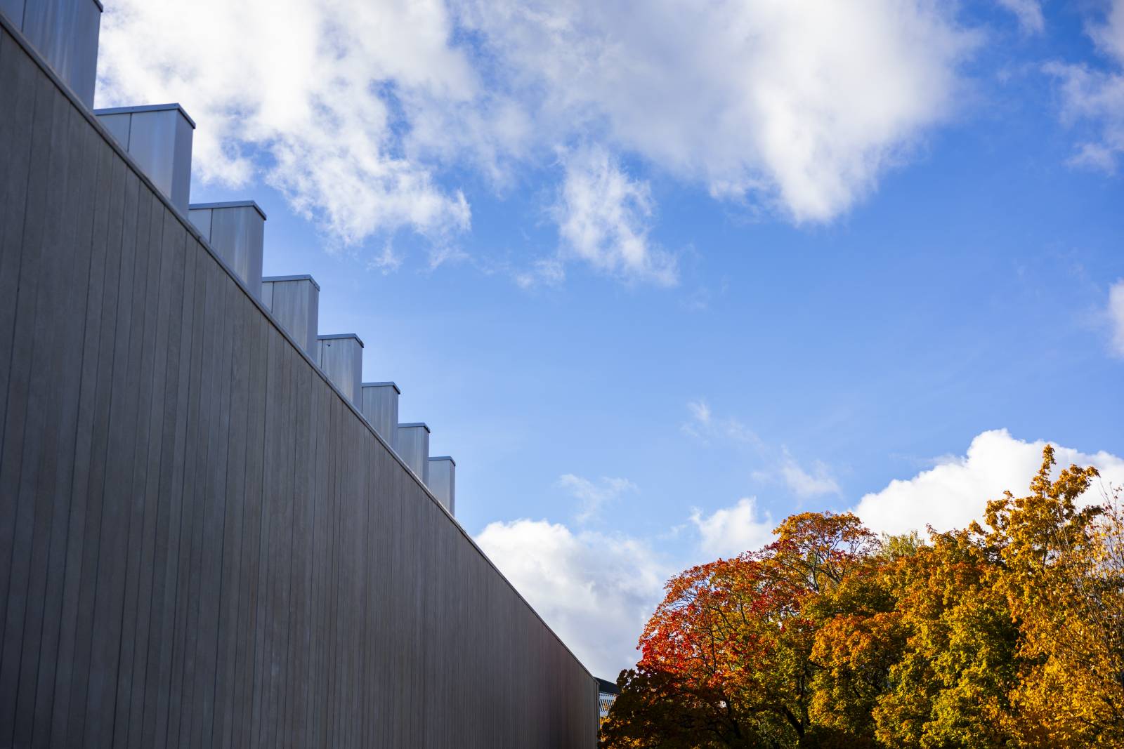 TAU city centre campus in autumn