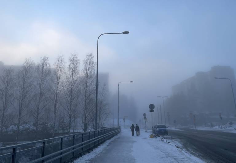 Foggy winter scenery