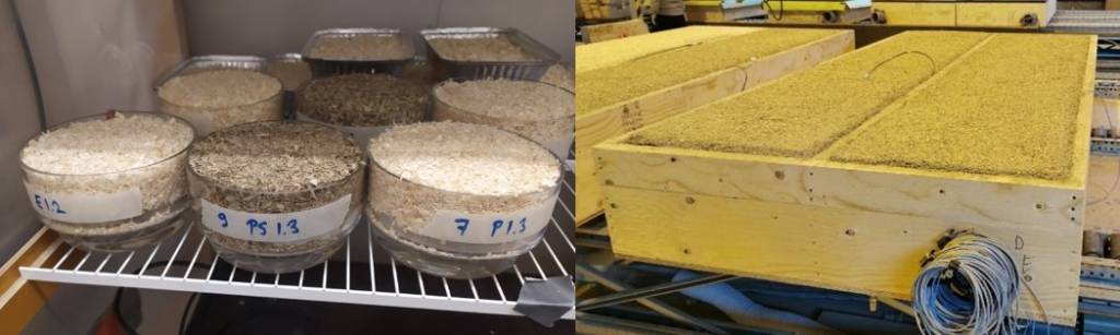 Ecosafe materials and structures.