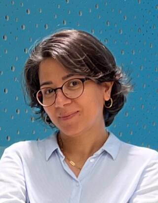 Mina Aminlou