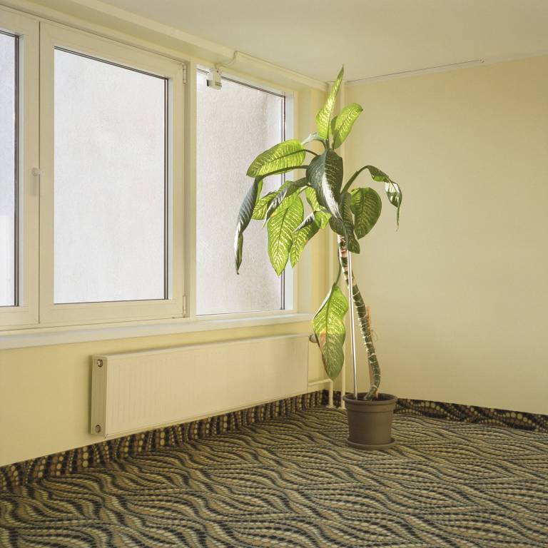 A plant in front of of the window inside a well-lit room.