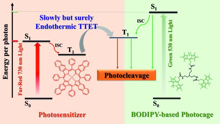 TOC Cleavage