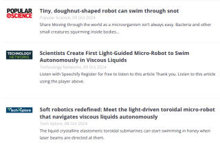 torus media