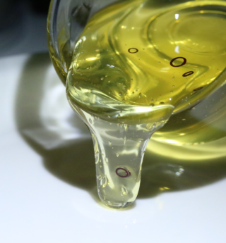 honey and torus