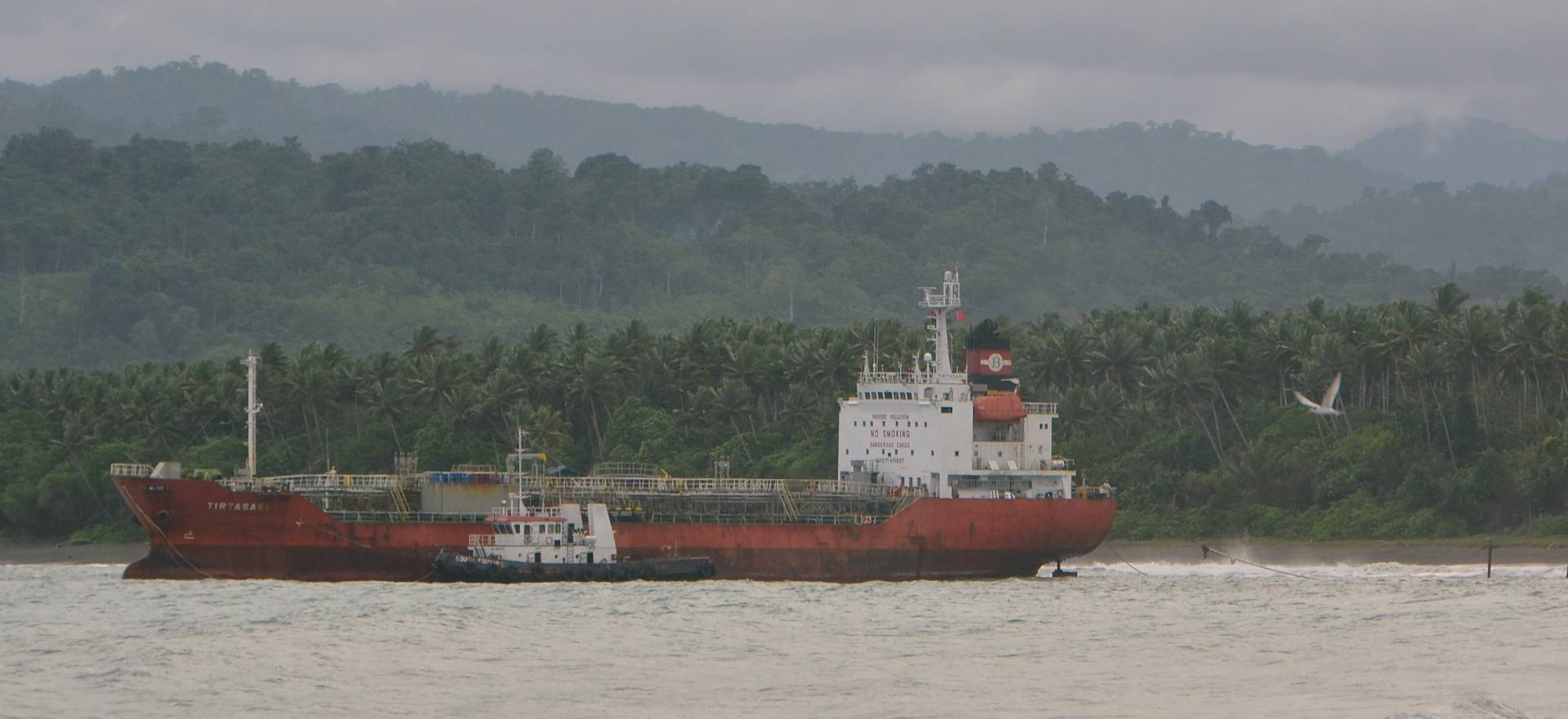 photograph of tanker ship anchored. In the background coconut plantings and forested hills. A white seabird flies past.