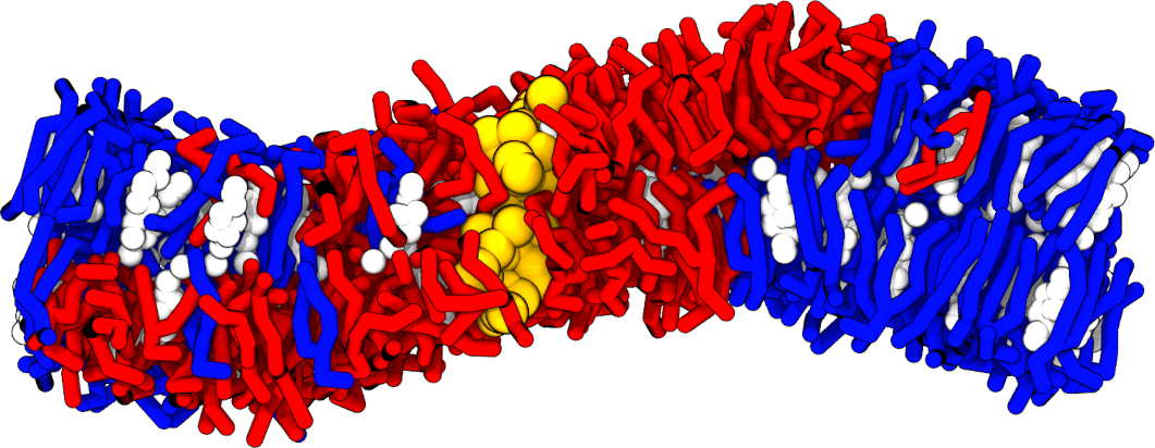 Peptide partitioning