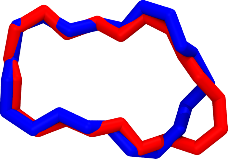 Two macrocycle conformations overlaid