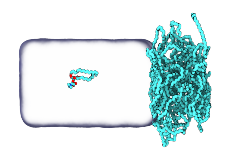 DPPC binding to a nanoplastic surface