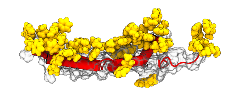 Benzaldehyde propylene glycol acetal accumulated on surfactant protein B