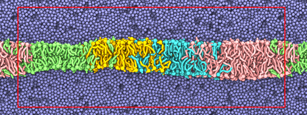 Membrane containing a thickness gradient