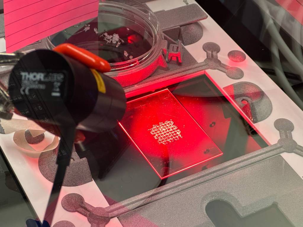 Red light 3D printing