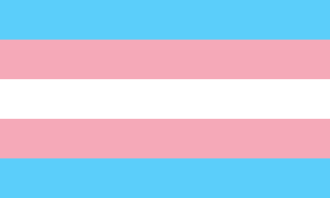 Translippu