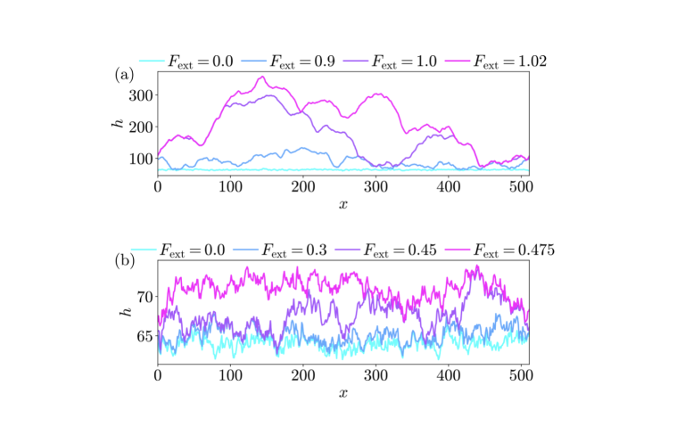 Interface configurations at different external force values for local and long-range elasticity