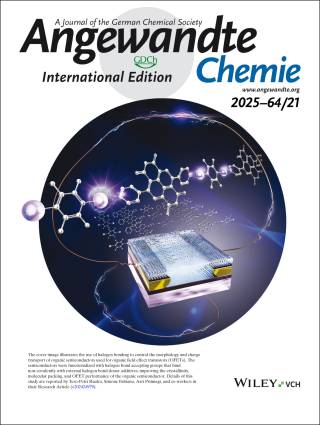 Angewandte Chemie_ Ruoko 2025