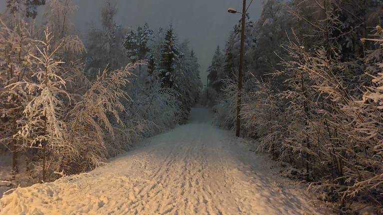 Talvinen kuva, jossa näkyy lumisia puita ja väylä.
