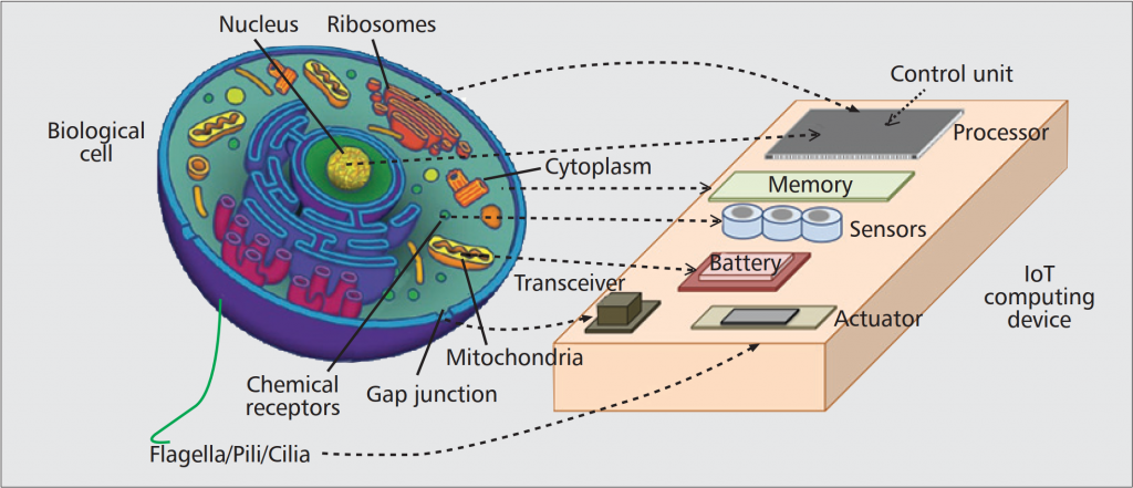 Illustrative figure showing some details of cell level communication concept.