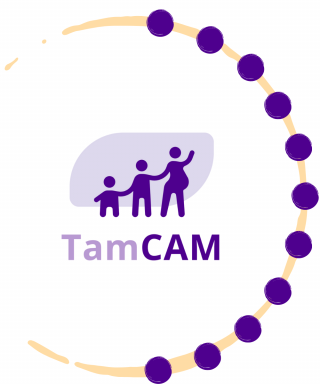 TamCAM Research groups