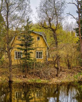 Keltainen puutalo metsän keskellä