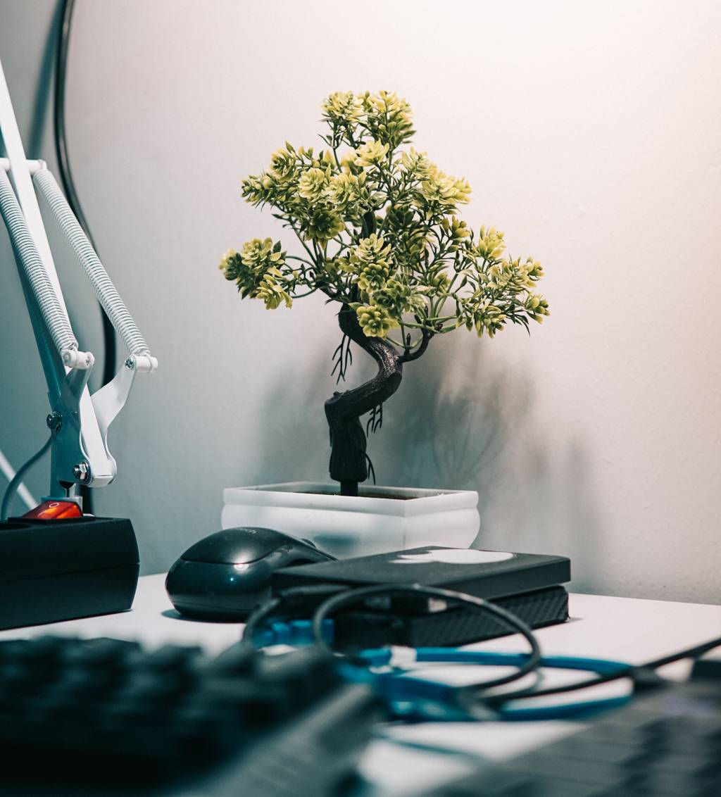 Bonsai tree in work desk with electronics.
