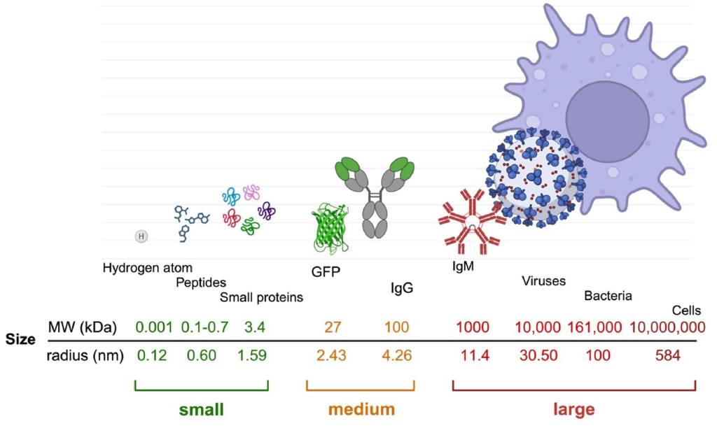 Biosensors