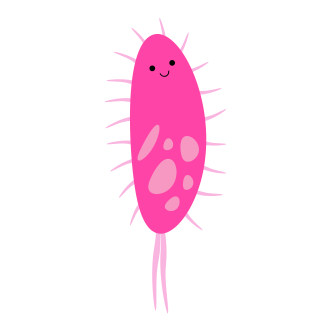 E-coli artwork